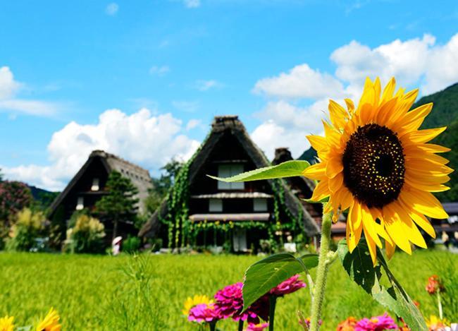 飛騨高山 八軒町戸建 Appartement Buitenkant foto